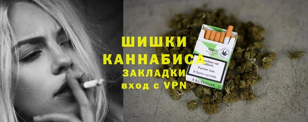 прущая мука Инта