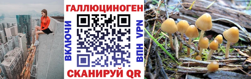 Галлюциногенные грибы мицелий  Купить где  Гремячинск 